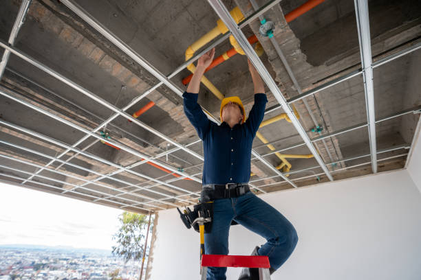 Best Commercial Plumbing Services  in Leland, MS